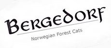 Bergedorf