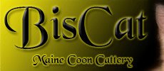 BisCat