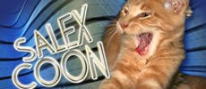 Salexcoon