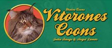 Vitorones Coons