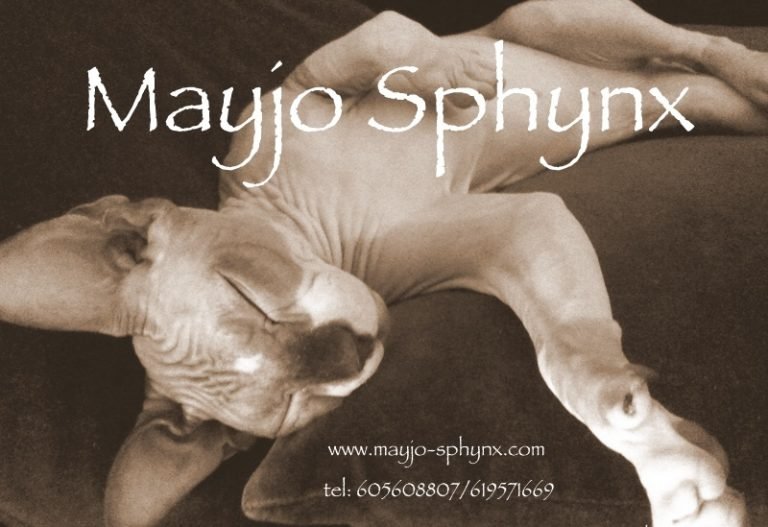 Mayjo