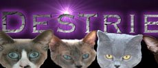 destriercats