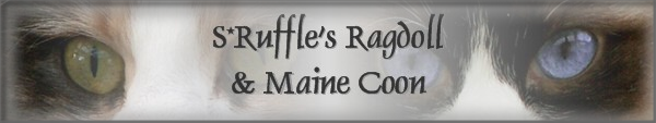 Ruffle’s