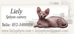 Liely