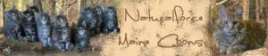 of Naturalforce