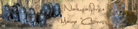 of Naturalforce