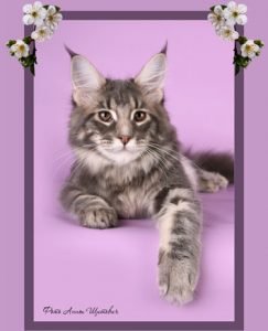 LeonilaCoon