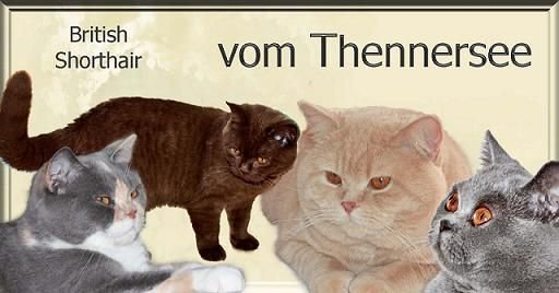 vom Thennersee