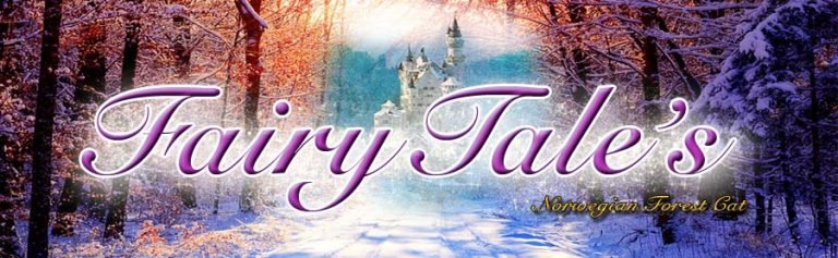 Fairy Tales