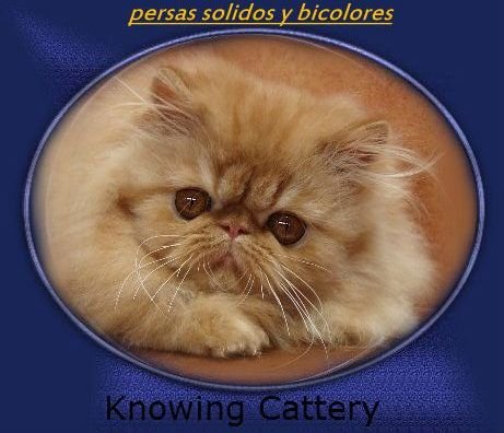 Knowing