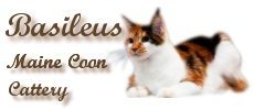 banner Mimi